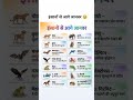 इंसानों से आगे जानवर 🤯👉 #shortvideo #gk