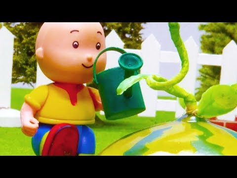 Caillou en Français | Caillou le Jardinier | dessin animé en entier | NOUVEAU 2018