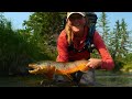 Breaking down a tiny brown trout spring creek  part 1