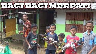 BAGI BAGI MERPATI KE ANAK ANAK