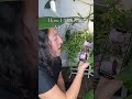 How I Motivate My Plants