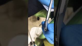 How to cut stainless steel crowns with scissor?