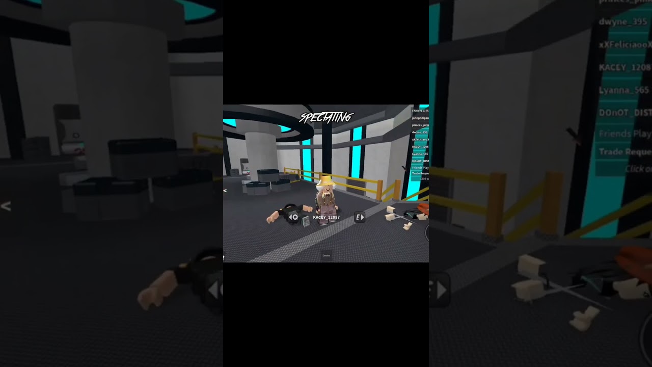 just roblox things 