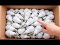 Don T Throw Away Old Light Bulbs It S A Huge Mistake Discover A Secret Millions Don T Know Don T Throw Away Old Light Bulbs It S A Huge Mistake Discover A Secret Millions Don T Know