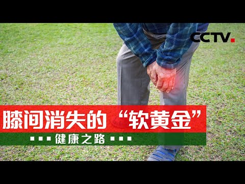 膝关节疼千万不能忍！骨科医生告诉你 20210604 |《健康之路》CCTV科教