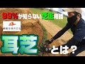 【耳芝】誰も知らない芝用語⁉造園等の雑学や豆知識を皆様にお届けします!
