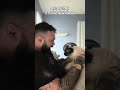 outside is not your ministry 😭 #petsofyoutube #catsofyoutube #funnyanimals #petparents