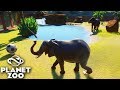 PLANET ZOO - O INCRÍVEL HABITAT para os ELEFANTES!!!