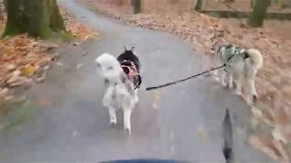 20181129 153242