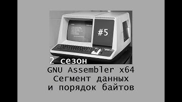 GNU Assembler x64. Сезон 2. Сегмент данных и порядок байтов