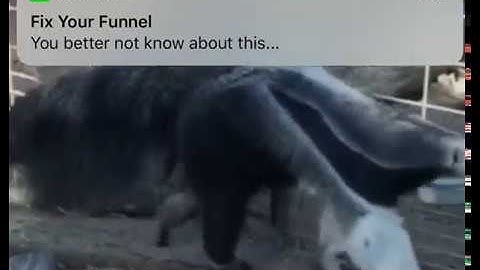 How to create mobile friendly surveys for Infusionsoft