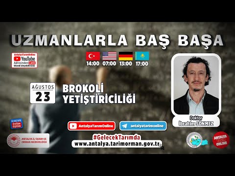 Video: Brokoli Bitkilerinde Yan Sürgünler: Brokoli Yan Sürgünlerini Hasat Etme