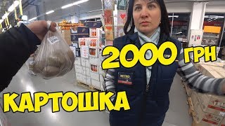 METRO САМАЯ ДОРОГАЯ КАРТОШКА В МИРЕ METRO САМАЯ ДОРОГАЯ КАРТОШКА В МИРЕ