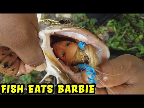 FISH EATS BARBIE 