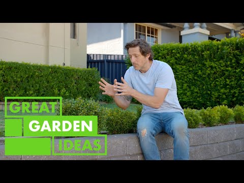 Video: Vi plantet hagen selv, vi pynter den selv: ideer til en hage med egne hender