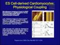 How to Mend a Broken Heart: Cardiac Cell Replacement Therapy