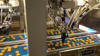 Vacuum suction Grippers for handling fruits made by GRIPWIQ Omron delta robots Reliable application