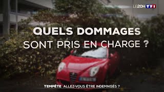 Tempête Ciaran : 48H sans électricité, comment faire ? Allez-vous être indemnisés ?TF1 fait le point