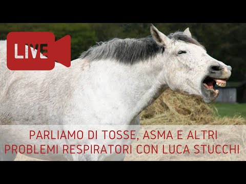 Video: Malattie Del Cavallo: Trattamento Con Rimedi Popolari