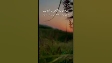 راحة نفسية 💞 القارئ: ريان المحيسني 💋