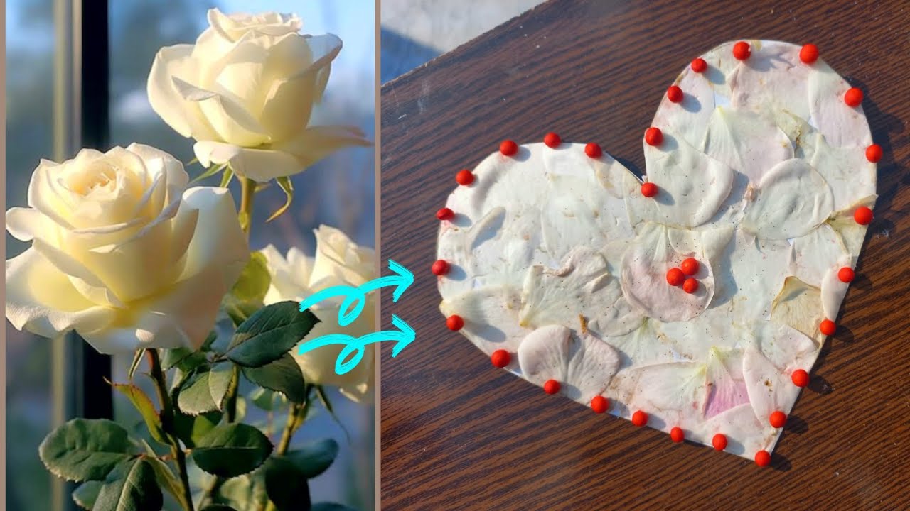diy-rose-petal-frame-how-to-make-frame-from-rose-petal-preserve