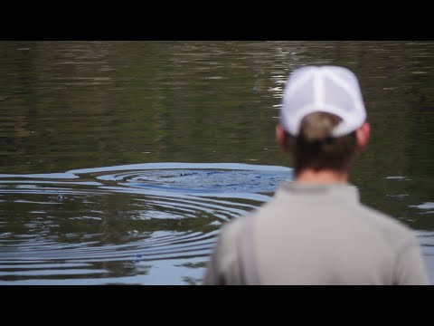 Video: Fiskebriller: Valg Uden Fejl