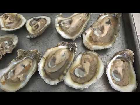 Video: How To Cook Oysters