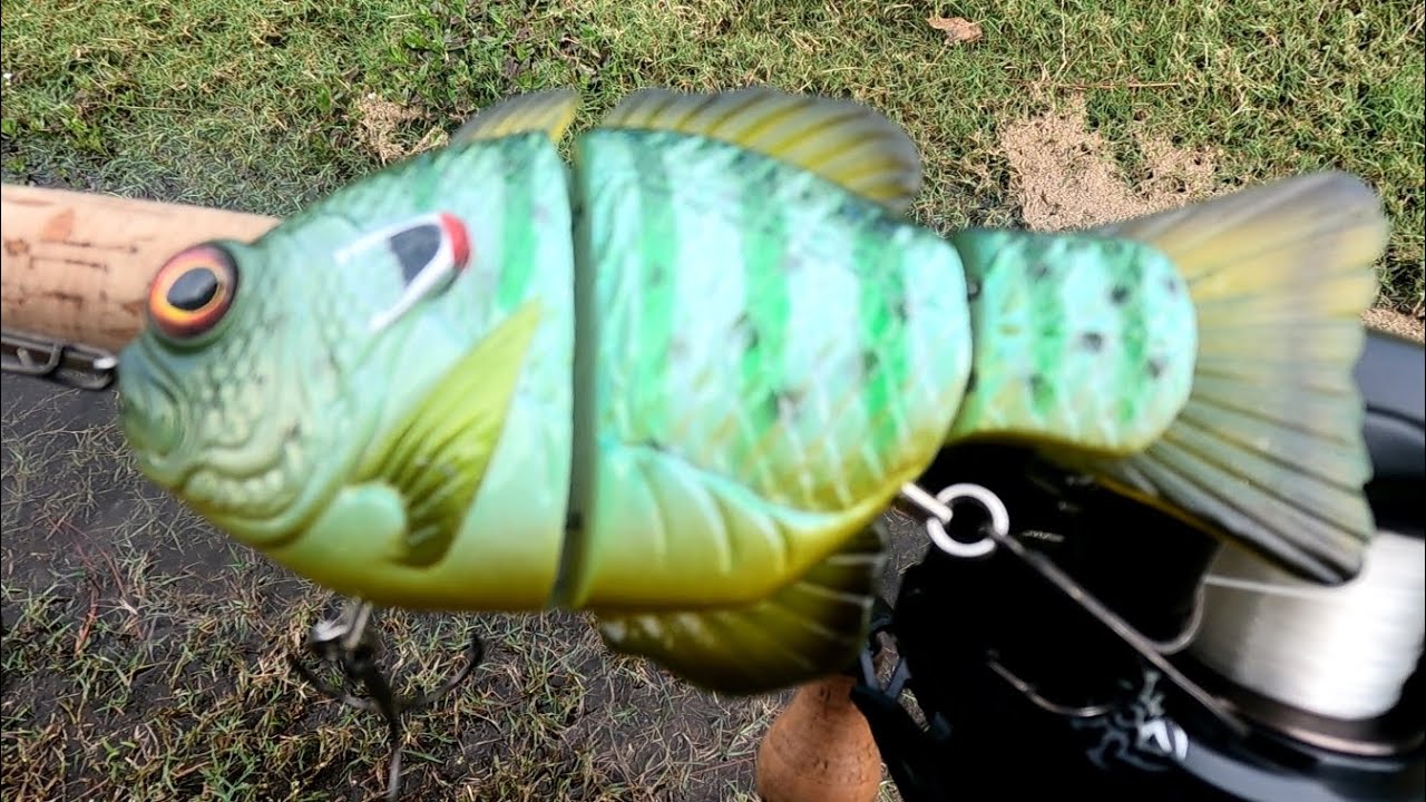 Fishing with a brand new swimbait! #bassfishing #swimbaitjunkies #daiwa #syncfishing
