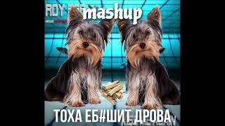 Тоха Еб#Шит Дрова × Kiss Me Again (Mashup)