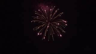 5 red strobe willow