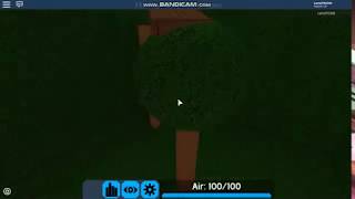 Roblox Flood Escape 2 map test - Time Machine (insane) by Enszo , ninjadudethecoolone