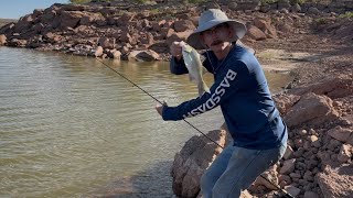 I Came Back to This Desert Lake in search of GIANT CATFISH