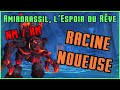 Racine noueuse  hroquenormal  guide et strat amirdrassil  102 wow
