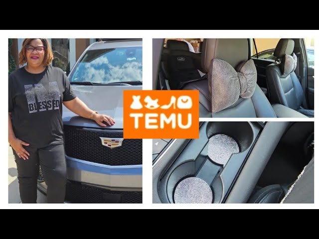 NEW! Car Organization  Haul with TEMU 