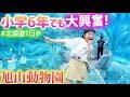 北海道旅行1日目♪日本一人気の動物園「旭山動物園」は小6女子も大興奮なところだった！