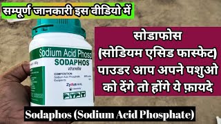 Sodaphos Powder (Sodium Acid phosphate) का Use पशुओं में किन-2 बीमारियों में होता हैं#sodaphos