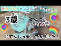 3歳　自転車のってみました！18インチ⭐︎ディズニーデザイン♪