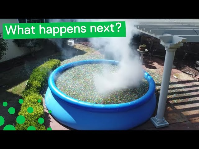 What Happens If You Throw Sodium Bomb in Giant Orbeez Pool - video  Dailymotion