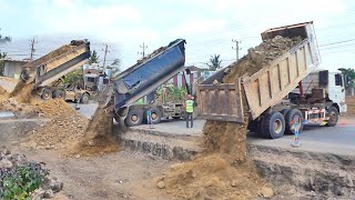 Wonderful!! Dump Truck 25.5 Ton Building Road Special Activities Bulldozer Pushing The Rocky Ground by Bulldozer Working Group 675 views 1 day ago 41 minutes
