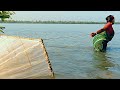 Sundarbans untuk mencari bibit udang windu Sulitnya hidup para wanita