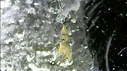 WIN 20251203 21 12 18 Pro