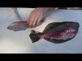 How to remove the skin off of a Flounder fillet