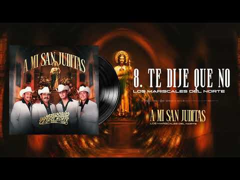 Te Dije Que No - Los Mariscales del Norte (Visualizer)
