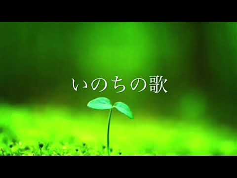 いのちの歌 いのちの歌 - YouTube