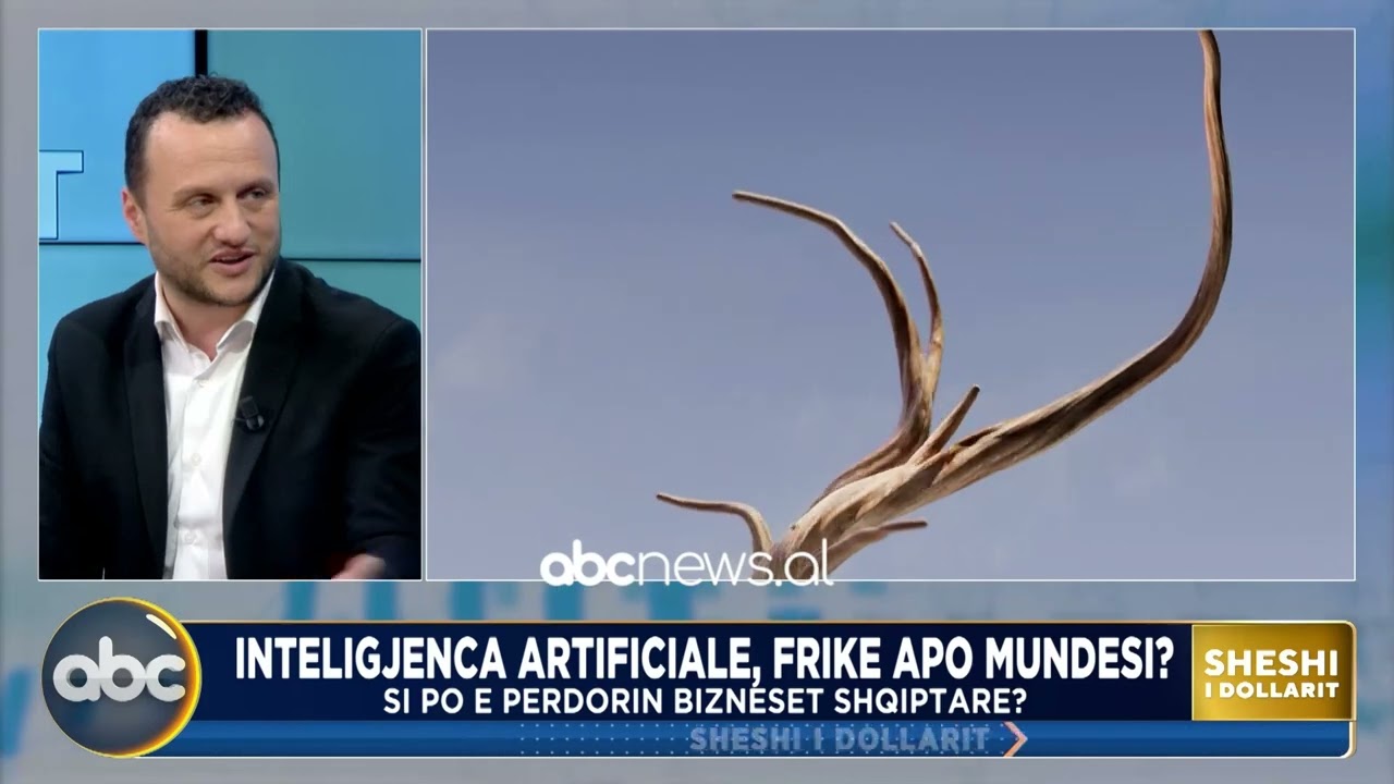 Pritshmëritë/ Eksperti: Brenda dhjetë vitesh AI do jetë jo vetëm virtuale, por edhe fizike