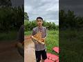 Mua Rất Nhiều Diều Sáo Đẹp Tặng Các Bạn #videoshort #funny #dieusao