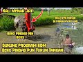 Mantap || Beko Pindad Di Turunkan Untuk Mendukung Program KDM || Normalisasi Kali