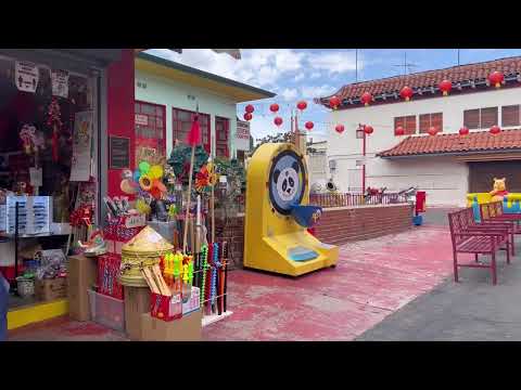 Video: Los Angeles Chinatown-gids en fototoer