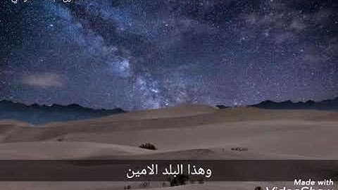 سورة التين | للقارئ عبدالله الموسى 🌸
