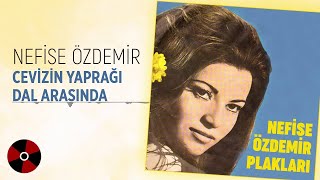 Nefise Özdemir - Cevizin Yaprağı Dal Arasında Resimi